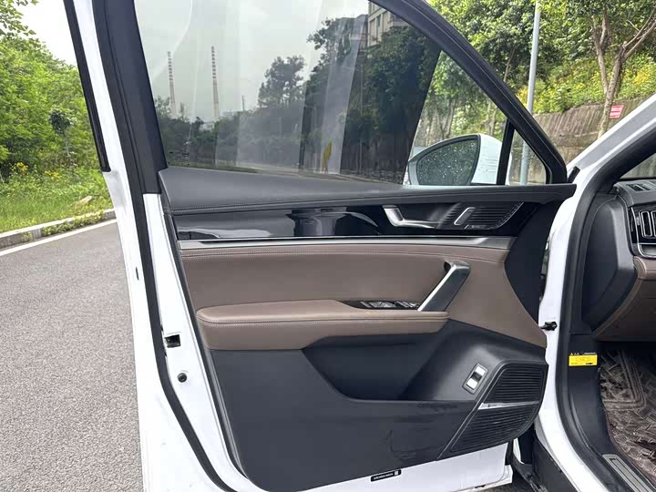BYD Tang 2019 2019款 2.0T 自动智联尊荣型 7座 国VI