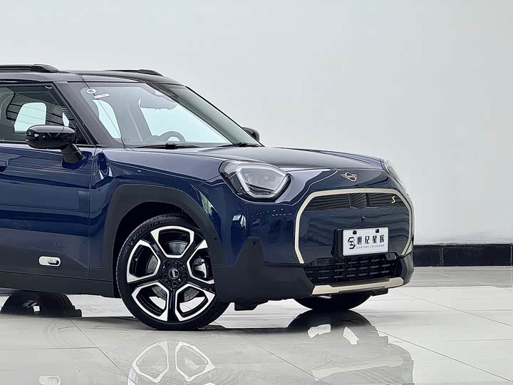 Mini Aceman 2024 2024款 SE 艺术家