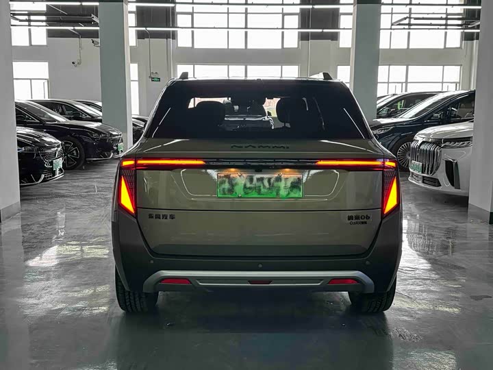2025 Dongfeng Yipai Nano 06