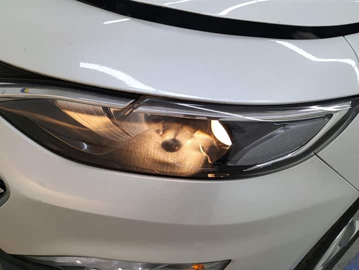 Chevrolet Malibu XL 2023 2023款 1.5T 锐动版