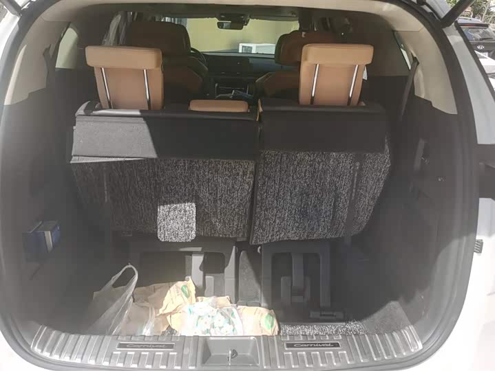 2021 Kia Carnival