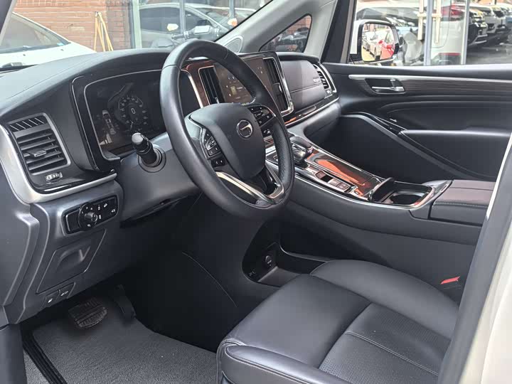GAC Trumpchi M8 2021 2021款 领秀系列 390T 尊贵版