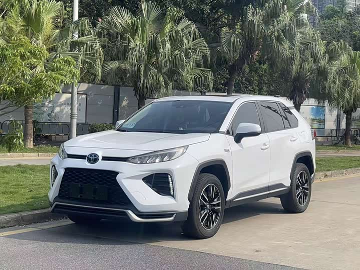 Toyota Wildlander Hybrid 2021 2021款 高性能版 2.5L 两驱劲擎版