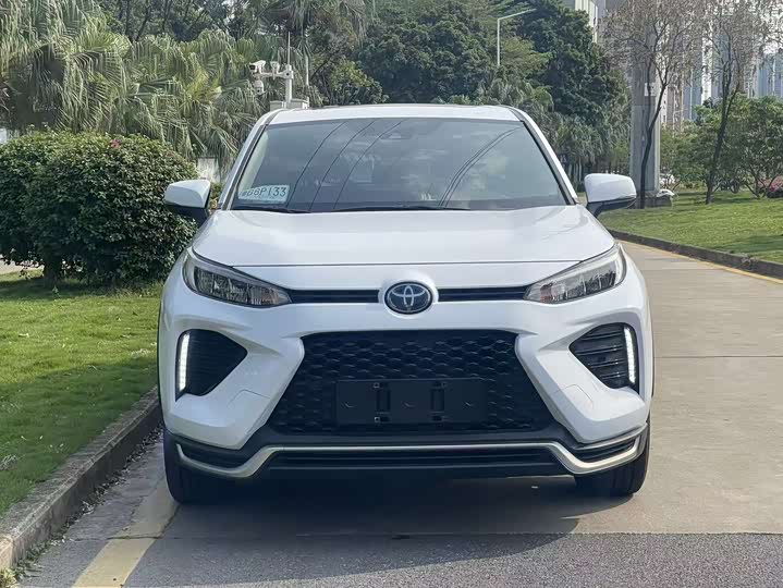 Toyota Wildlander Hybrid 2021 2021款 高性能版 2.5L 两驱劲擎版