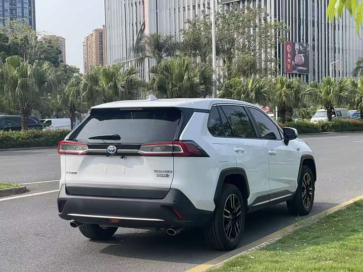 Toyota Wildlander Hybrid 2021 2021款 高性能版 2.5L 两驱劲擎版