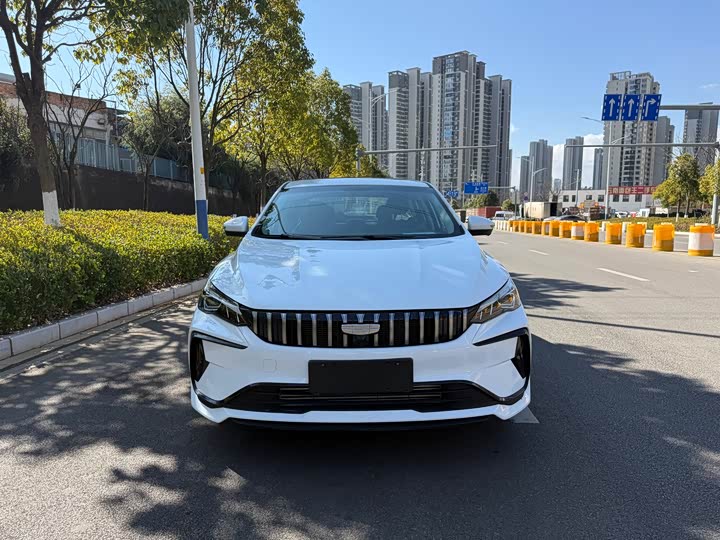 2024 Geely Binrui
