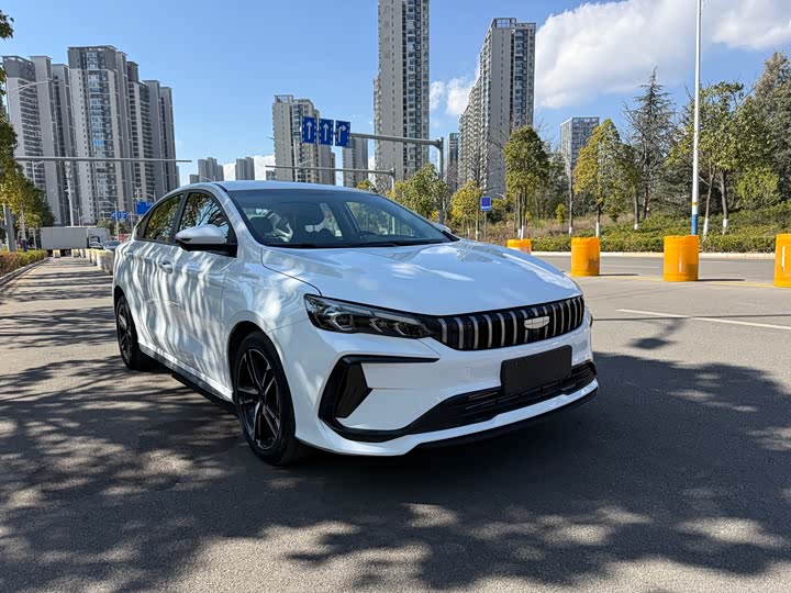 2024 Geely Binrui