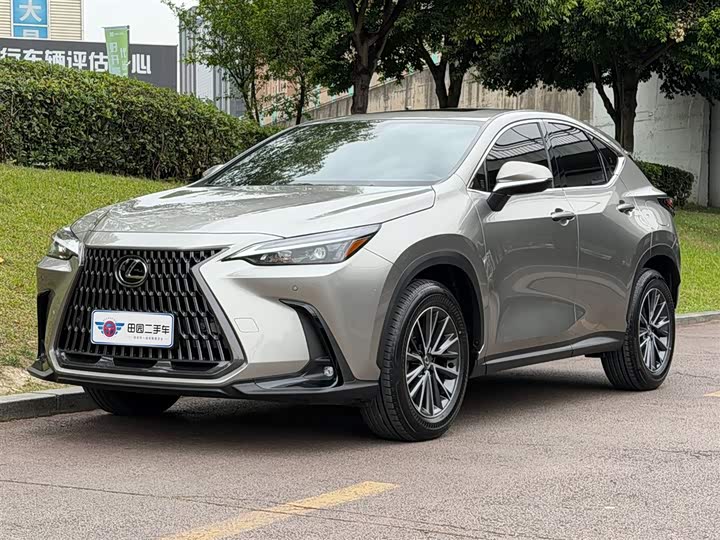 Lexus NX 2024 2024款 350h 全驱 创游版