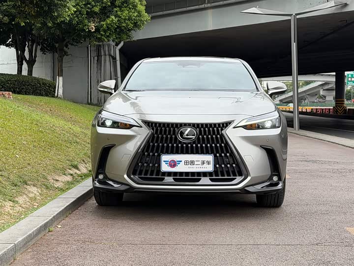 Lexus NX 2024 2024款 350h 全驱 创游版