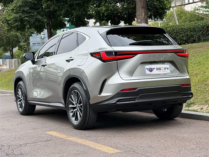 Lexus NX 2024 2024款 350h 全驱 创游版