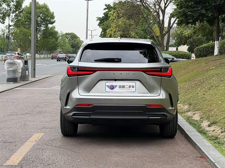Lexus NX 2024 2024款 350h 全驱 创游版