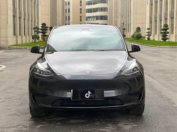Tesla Model Y 2024 2024款 后轮驱动版