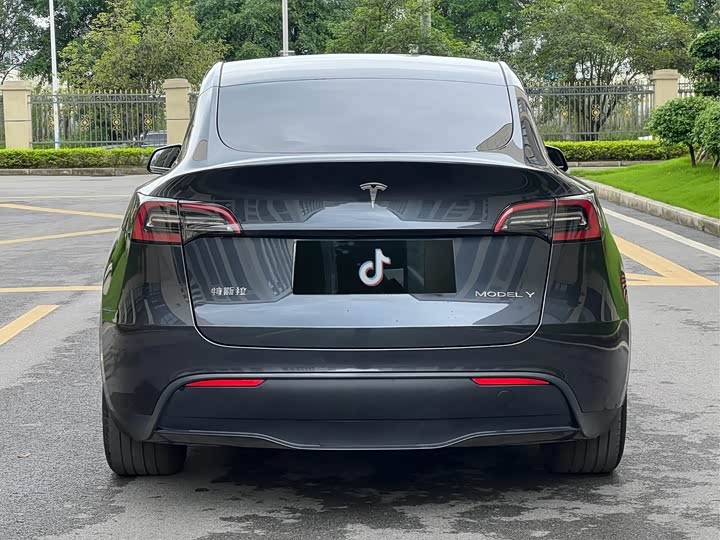 Tesla Model Y 2024 2024款 后轮驱动版