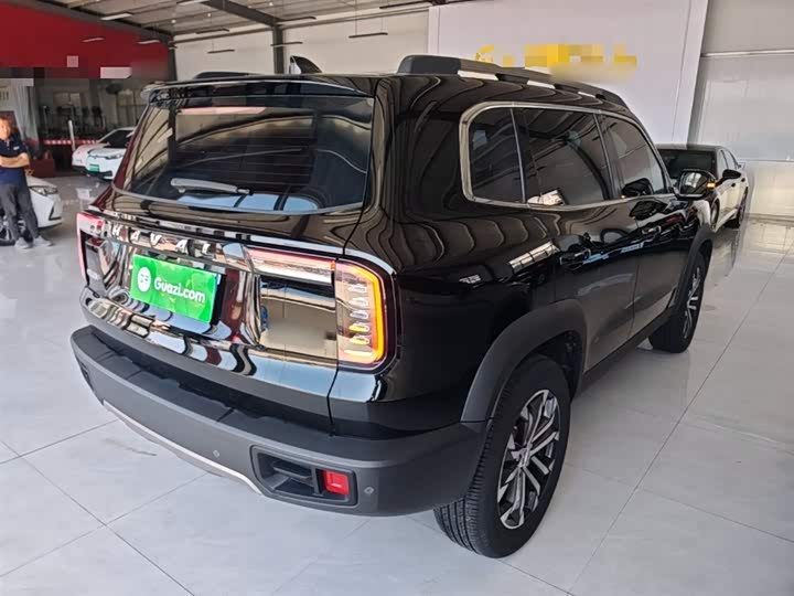 Zdjęcie 7 - Haval Dargo
