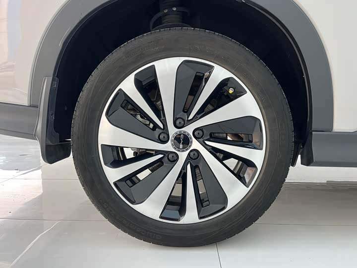 Фото 4 - BYD Song Plus Hybrid/EV