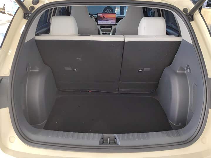 Photo 4 - Geely Galaxy Geome