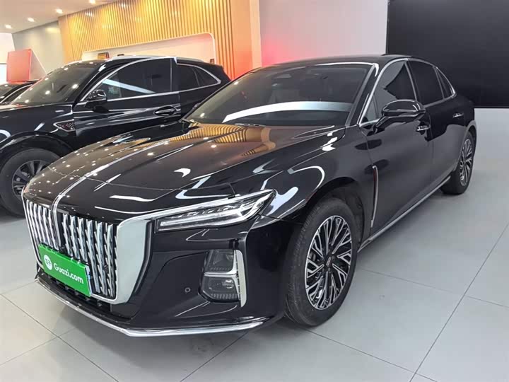 Zdjęcie 2 - Hongqi H5