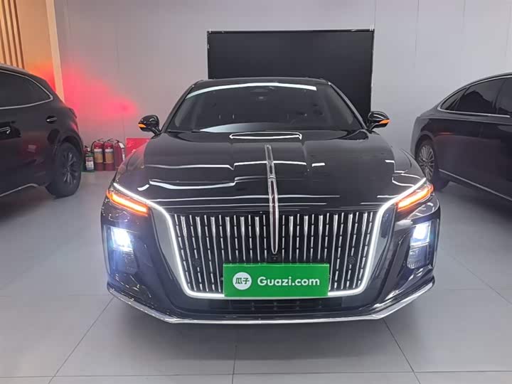 Zdjęcie 3 - Hongqi H5
