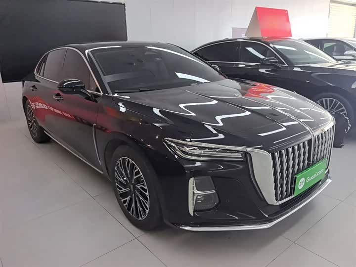 Zdjęcie 4 - Hongqi H5