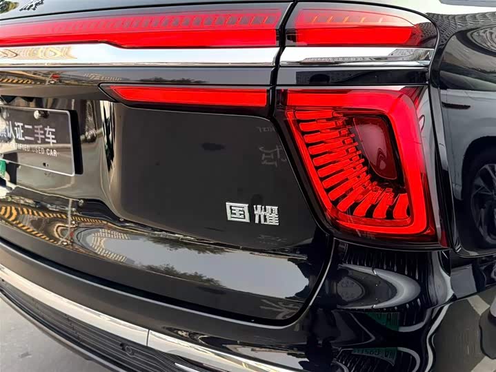 Hongqi LS7 (Guoyao) 2022 2022款 4.0T 尊爵旗舰版 4座