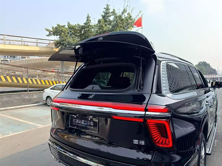 Hongqi LS7 (Guoyao) 2022 2022款 4.0T 尊爵旗舰版 4座