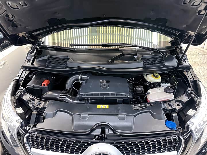 Mercedes-Benz V-Class 2021 2021款 V 260 L 长轴距豪华版