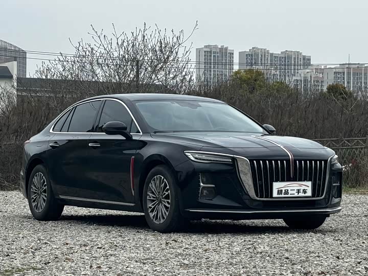 Zdjęcie 3 - Hongqi H5