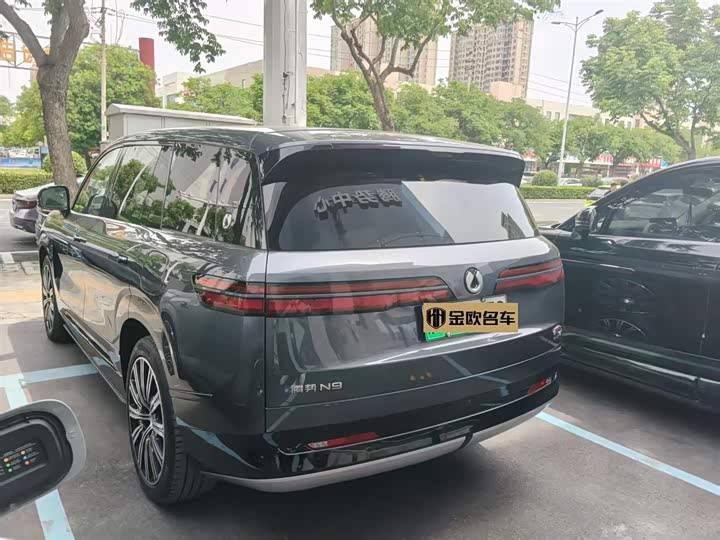 Denza N9 2025 2025款 尊荣型