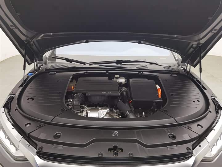 Фото 6 - BYD Han
