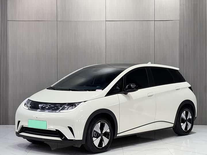 Zdjęcie 1 - BYD Dolphin