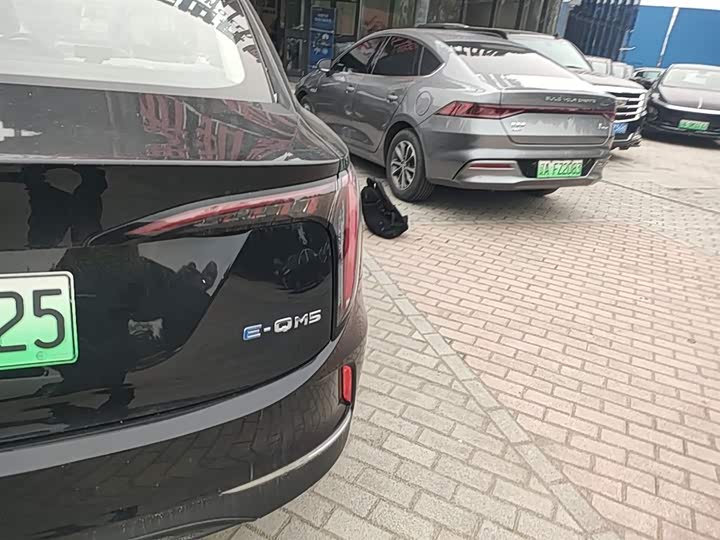 Hongqi E-QM5 2025 2025款 500km 出行版