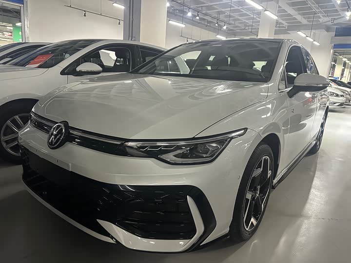 Volkswagen Golf 2025 2025款 300TSI R-Line