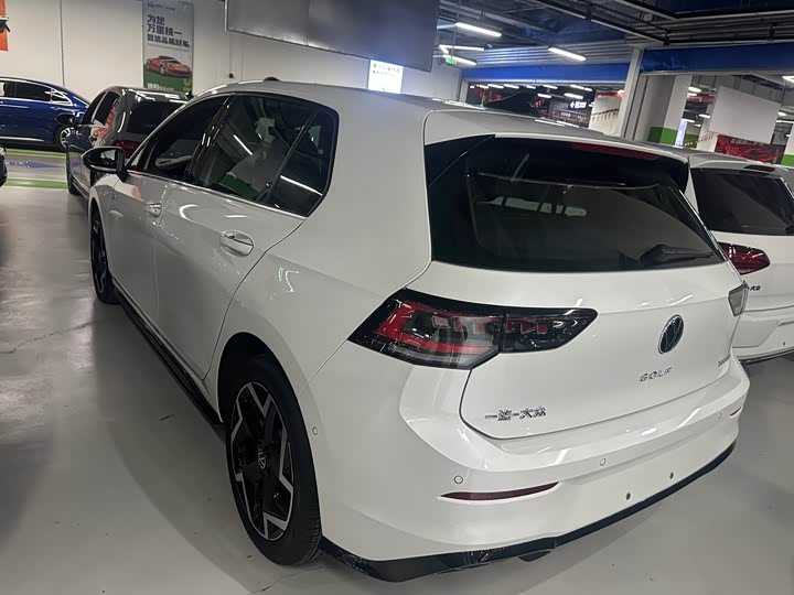 Volkswagen Golf 2025 2025款 300TSI R-Line