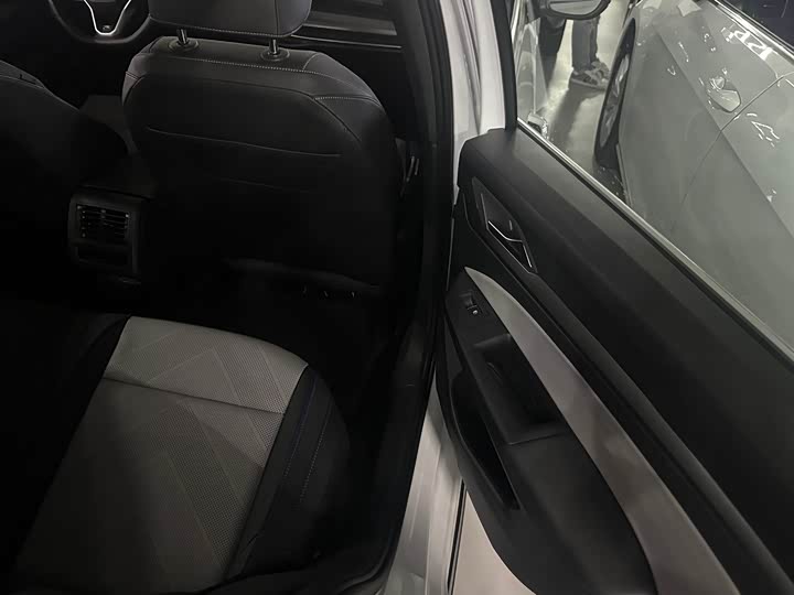 Volkswagen Golf 2025 2025款 300TSI R-Line