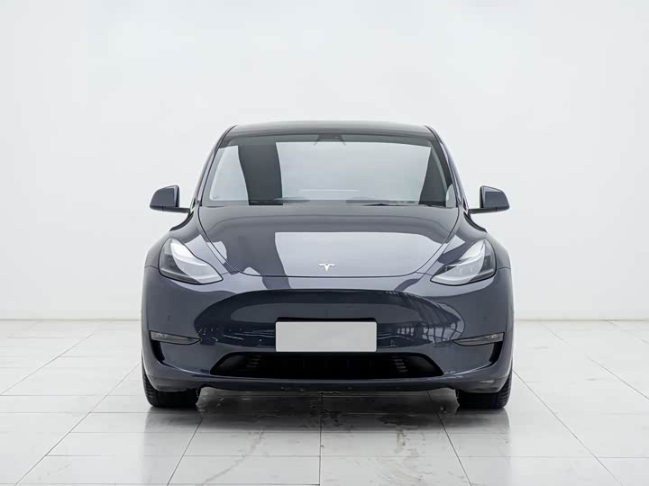 Tesla Model Y 2022 2022款 Performance高性能全轮驱动版