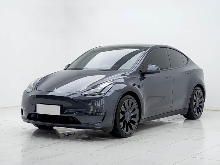 Tesla Model Y 2022 2022款 Performance高性能全轮驱动版