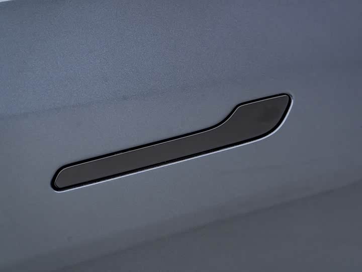 Tesla Model Y 2022 2022款 Performance高性能全轮驱动版