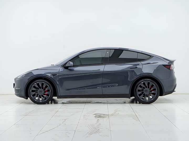 Tesla Model Y 2022 2022款 Performance高性能全轮驱动版