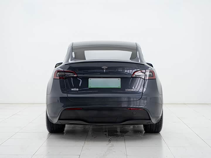 Tesla Model Y 2022 2022款 Performance高性能全轮驱动版