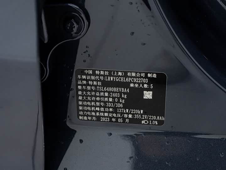 Tesla Model Y 2022 2022款 Performance高性能全轮驱动版