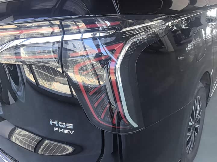 Hongqi HQ9 Hybrid 2024 2024款 2.0T 四驱商务版