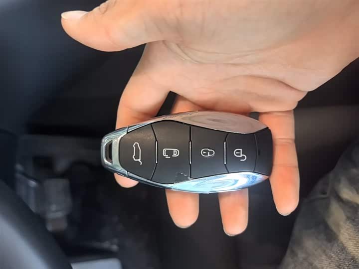 Hongqi HQ9 Hybrid 2024 2024款 2.0T 四驱商务版