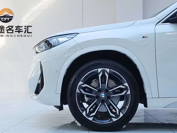 Zdjęcie 9 - BMW X1