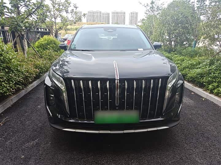 Photo 3 - Hongqi HS7 Hybrid