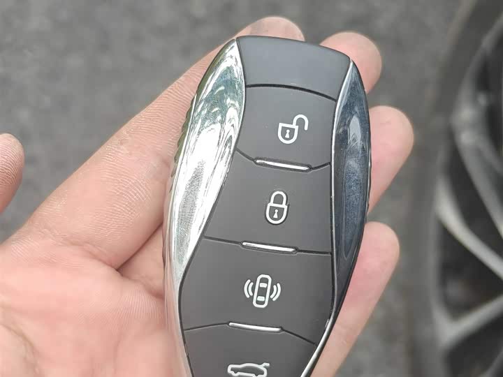 Photo 9 - Hongqi HS7 Hybrid