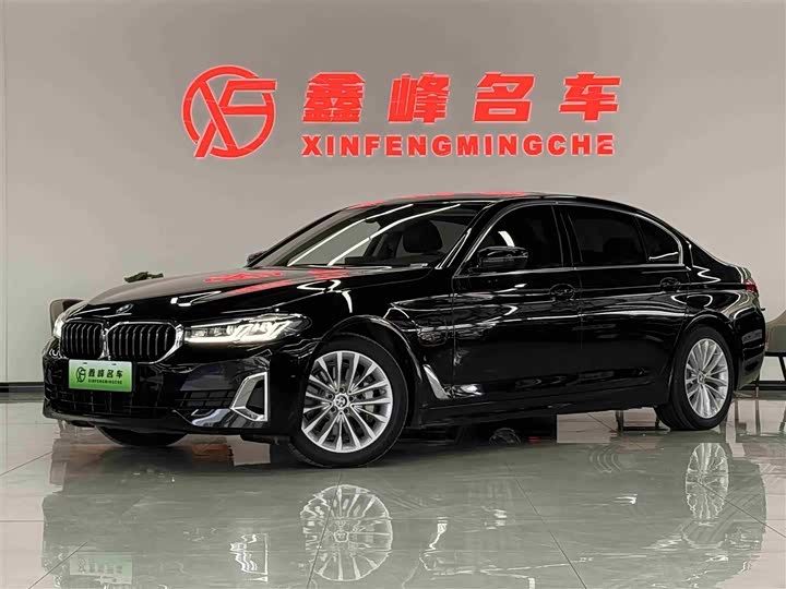 Фото 1 - BMW 5 Series Hybrid