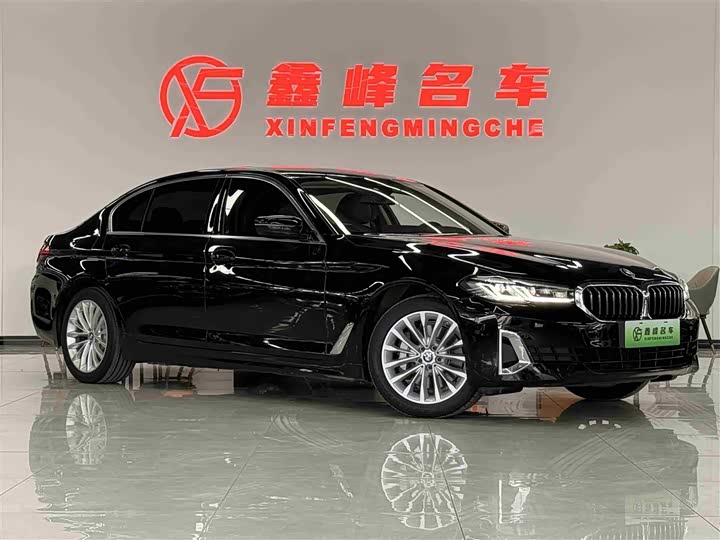 Фото 3 - BMW 5 Series Hybrid