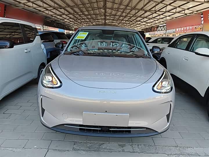 Geely Galaxy Geome 2026 2026款 310km 梦想版