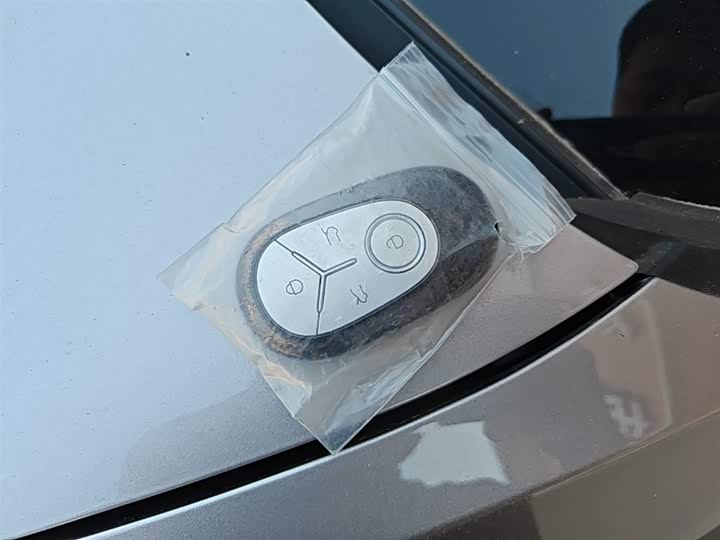 Geely Galaxy Geome 2026 2026款 310km 梦想版