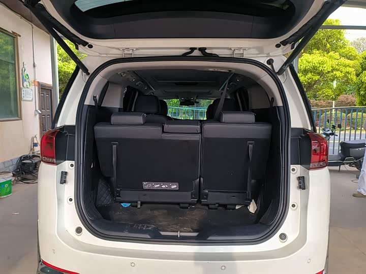 GAC Trumpchi M8 2021 2021款 领秀系列 390T 尊贵版